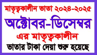 মাতৃত্বকালীন ভাতা ২০২৪-২০২৫